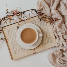 “Rainy days should be spent at home with a cup of tea and a good book.”